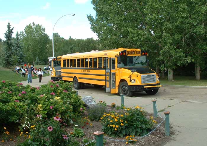 Golden Arrow school bus 379